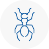 Ant Removals In Addington