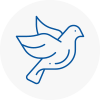 Bird Prevention Addington
