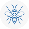 Addington Hornet Nest Removals