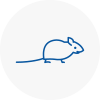 Mice Exterminators In Addington