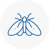 Moth Control Specialists In Addington