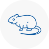Rat Control Addington