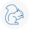 Addington Rodent Removals