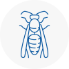 Addington Wasp Nest Removal